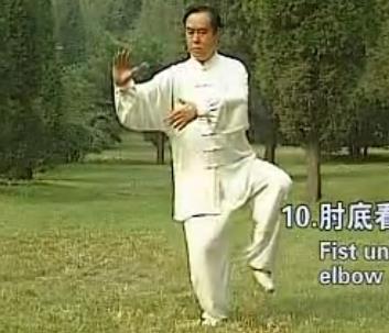 28式杨氏太极拳教学视频 含音乐口令下载