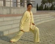 杨式太极拳基本动作步型步法