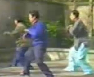 传统杨式八十五式太极拳 鈡文大师 珍贵视频