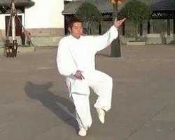 超清 杨式40式太极拳 杨式太极拳视频免费下载