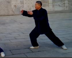 杨式太极拳28式 杨式太极拳视频免费下载 双人练习