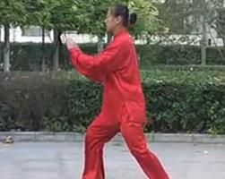 传统杨式太极拳八十五式 超清视频免费下载