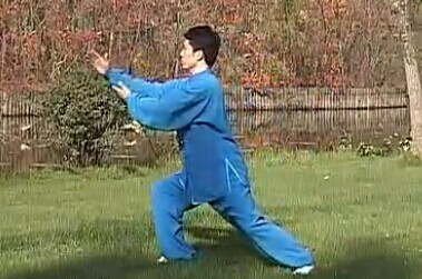 二十六式传统杨式太极拳全套演练 刘道宁 高清