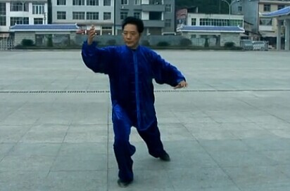 传统杨式85式太极拳教学完整动作 姜绍来演示