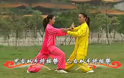 杨式太极拳二段 单练套路及对打套路教学 杨式太极拳段位制