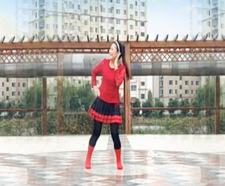 桃花森林的动感32步广场舞《耶耶耶DJ》教学视频