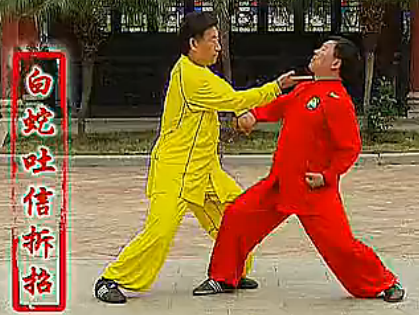 陈式太极拳初段位 一段 二段 三段 单练套路 对打套路 拆招技法 分解教学 中国武术段位制系列教程