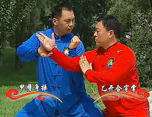 陈式太极拳中段位 四段 五段 六段 单练套路 对打套路 拆招技法 分解教学 中国武术段位制系列教程