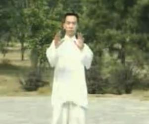 一、张俊峰杨氏太极拳传统42式教学