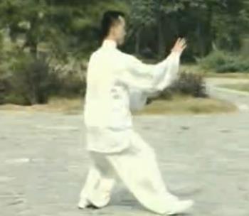 二、张俊峰杨氏太极拳传统42式教学