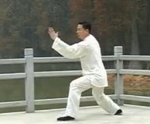 全套背面演练 王二平42式太极拳视频教学