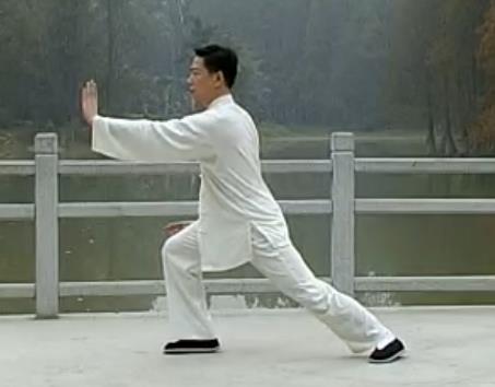 王二平42式太极拳教学视频2