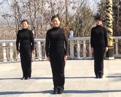尚志市沿河健身队第六套莱州活力健身操展演 视频音乐mp3免费下载