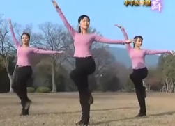 中华医学健舞示范与教学 中华医学健身舞视频音乐 56分钟完整教学版