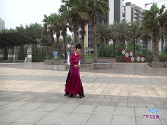 女人花交谊舞 海南大众水兵舞团 演示视频