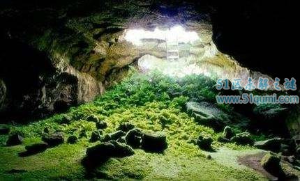 印尼爪哇谷洞吃人之谜 谷洞会是时光隧道吗?