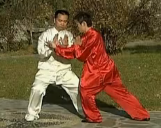 吴式太极拳 四段 五段 六段 单练套路 对打套路 拆招方法 分解教学 中国武术段位制