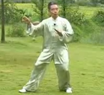 杨式太极拳散手技法 