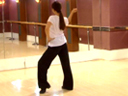 广场舞中国味道教学视频