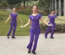 紫紫雨广场舞教学视频-广场舞异国风情