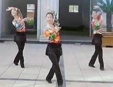 新舞-广场舞马背上的太阳 附舞蹈教学视频