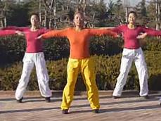 2014最新健身操广场舞 广场舞步子舞 24步广场舞