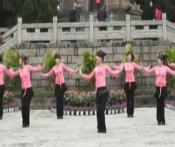 动动广场舞 春天的滋味 教学视频