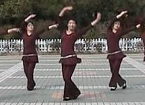 2014高安子君 广场舞马背情歌 广场舞歌曲免费下载