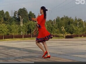 枝叶儿原创广场舞一条河最新广场舞舞曲视频教程下载