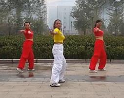 舞动旋律2007健身队广场舞路灯下的小姑娘 含动作分解教学