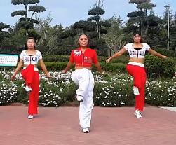 原创 舞动旋律2007健身队 广场舞花枝招展 含动作分解教学