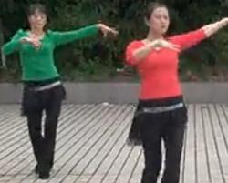 露露广场舞开车游西藏 视频