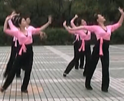 高安子君广场舞我的祖国 广场舞视频歌曲免费