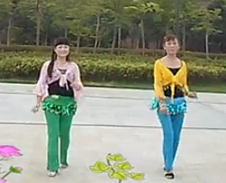 可爱玫瑰花广场舞；28步自由舞；刘瑛编舞；含分解动作