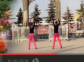 紫冰广场舞 健身舞紫禁千里外视频舞曲