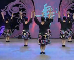 杨艺广场舞 七月火把节背身动作演示广场舞视频