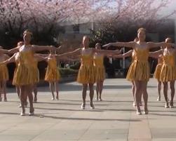 原创变队形 茉莉广场舞很有味道 16人广场舞队形编排 含教学背面演示