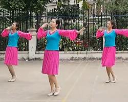 广州春风广场舞好姐妹 简单好看必学广场舞