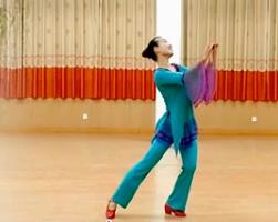 中国茶 格格广场舞新舞 最新广场舞教学 动作分解