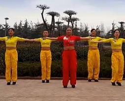 舞动旋律2007 广场舞中国吉祥 广场舞分解教学 含背面教学