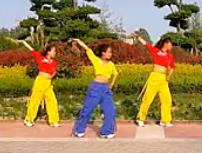 舞动旋律2007健身队荷东的士高 16步广场舞