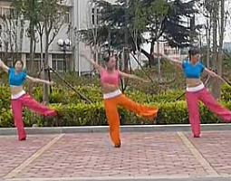 舞动旋律2007健身队神马都是浮云 广场舞教学 动作分解