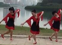 舞在深圳湾广场舞草原上的风 歌曲免费