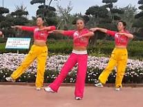 舞动旋律2007 广场舞七年的爱 动作分解教学 减肥健身舞