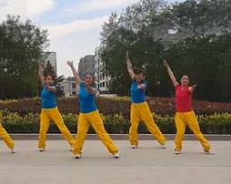 舞动旋律2007 广场舞大阪城的姑娘 动作分解教学 含背面