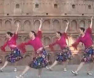 新编 紫蝶踏歌广场舞花儿的美丽 广场舞教学 动作分解