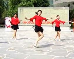 张林冰广场舞欢腾的草原 含动作分解广场舞教学