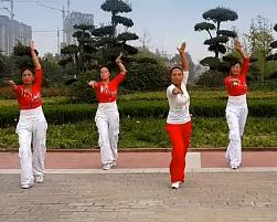 舞动旋律2007 霸气节奏 含动作分解教学 减肥健身广场舞
