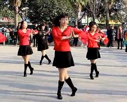温州燕子广场舞万物生 简单优美好看广场舞