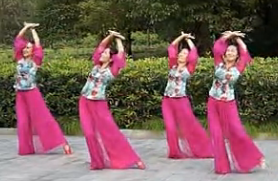 応歌燕舞南京队广场舞自由行走的花演示教学 自由行走的花応子广场舞